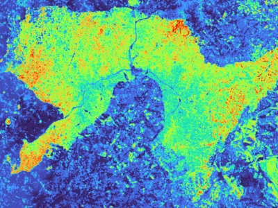 確かな精度でバイオマスを測定